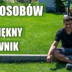 Trawnik na tarasie: Marzenie o zieleni? Kompletny poradnik!