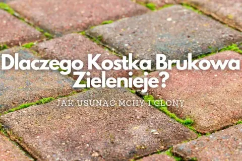 Czysty płot na lata! Usuwanie mchu, glonów i zapobieganie