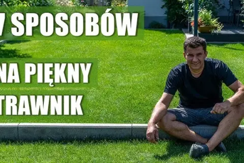 Trawnik na tarasie: Marzenie o zieleni? Kompletny poradnik!