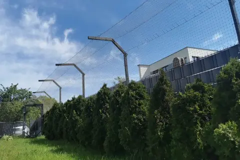 Jak zabezpieczyć płot przed kotem? Skuteczne i humanitarne metody