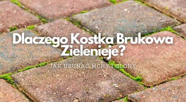 Czysty płot na lata! Usuwanie mchu, glonów i zapobieganie