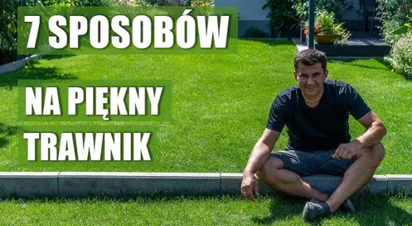 Trawnik na tarasie: Marzenie o zieleni? Kompletny poradnik!