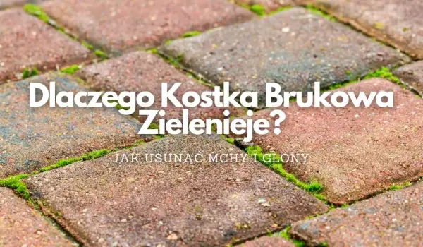 Czysty płot na lata! Usuwanie mchu, glonów i zapobieganie