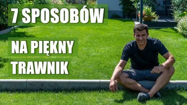 Trawnik na tarasie: Marzenie o zieleni? Kompletny poradnik!