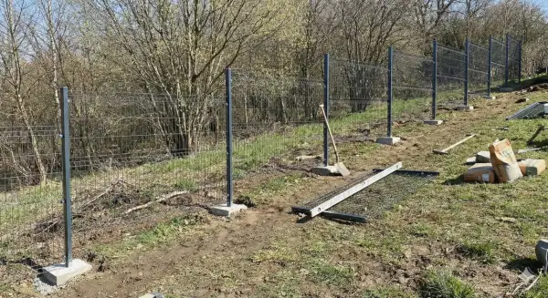 Jak precyzyjnie wyznaczyć poziom ogrodzenia? Poradnik eksperta